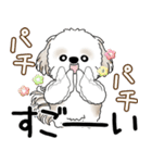 シーズー犬 2025 「飛び出す」よく使う言葉（個別スタンプ：14）