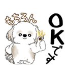シーズー犬 2025 「飛び出す」よく使う言葉（個別スタンプ：16）