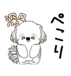 シーズー犬 2025 「飛び出す」よく使う言葉（個別スタンプ：18）