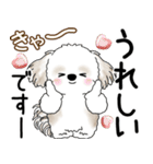 シーズー犬 2025 「飛び出す」よく使う言葉（個別スタンプ：20）