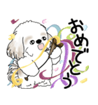 シーズー犬 2025 「飛び出す」よく使う言葉（個別スタンプ：21）