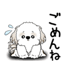 シーズー犬 2025 「飛び出す」よく使う言葉（個別スタンプ：22）