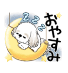 シーズー犬 2025 「飛び出す」よく使う言葉（個別スタンプ：24）