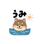 柴犬 黒柴きのこの日常18 イラスト編2（個別スタンプ：3）