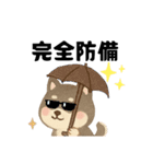 柴犬 黒柴きのこの日常18 イラスト編2（個別スタンプ：5）