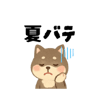 柴犬 黒柴きのこの日常18 イラスト編2（個別スタンプ：12）