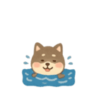 柴犬 黒柴きのこの日常18 イラスト編2（個別スタンプ：13）