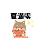 柴犬 黒柴きのこの日常18 イラスト編2（個別スタンプ：18）