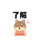 柴犬 黒柴きのこの日常18 イラスト編2（個別スタンプ：21）