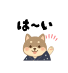 柴犬 黒柴きのこの日常18 イラスト編2（個別スタンプ：23）