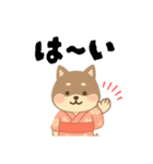 柴犬 黒柴きのこの日常18 イラスト編2（個別スタンプ：24）