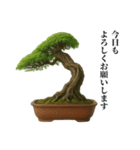 盆栽スタンプ【和風＆自然】72（個別スタンプ：2）