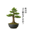 盆栽スタンプ【和風＆自然】72（個別スタンプ：4）