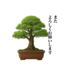 盆栽スタンプ【和風＆自然】72（個別スタンプ：20）
