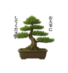 盆栽スタンプ【和風＆自然】72（個別スタンプ：31）