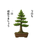盆栽スタンプ【和風＆自然】72（個別スタンプ：33）