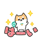 柴犬たけちよ★見やすいデカ文字（個別スタンプ：1）