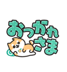 柴犬たけちよ★見やすいデカ文字（個別スタンプ：6）