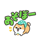 柴犬たけちよ★見やすいデカ文字（個別スタンプ：21）