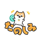 柴犬たけちよ★見やすいデカ文字（個別スタンプ：22）