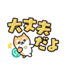 柴犬たけちよ★見やすいデカ文字（個別スタンプ：24）