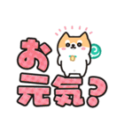 柴犬たけちよ★見やすいデカ文字（個別スタンプ：25）