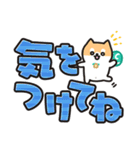 柴犬たけちよ★見やすいデカ文字（個別スタンプ：26）