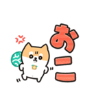 柴犬たけちよ★見やすいデカ文字（個別スタンプ：33）