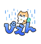 柴犬たけちよ★見やすいデカ文字（個別スタンプ：38）