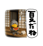 目ヂカラ強め☆クールなハシビロコウ（個別スタンプ：10）