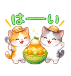 猫のつめあわせ【夏2】（個別スタンプ：2）