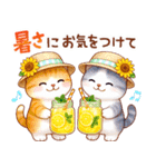 猫のつめあわせ【夏2】（個別スタンプ：15）