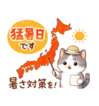 猫のつめあわせ【夏2】（個別スタンプ：18）