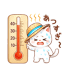 猫のつめあわせ【夏2】（個別スタンプ：19）