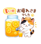 猫のつめあわせ【夏2】（個別スタンプ：22）