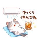 猫のつめあわせ【夏2】（個別スタンプ：23）