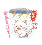 猫のつめあわせ【夏2】（個別スタンプ：38）