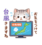 猫のつめあわせ【夏2】（個別スタンプ：39）