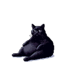 無言で伝える太っちょ黒猫（個別スタンプ：4）