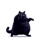 無言で伝える太っちょ黒猫（個別スタンプ：6）