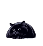 無言で伝える太っちょ黒猫（個別スタンプ：8）