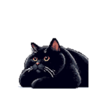 無言で伝える太っちょ黒猫（個別スタンプ：9）