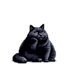 無言で伝える太っちょ黒猫（個別スタンプ：15）