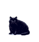 無言で伝える太っちょ黒猫（個別スタンプ：17）
