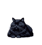 無言で伝える太っちょ黒猫（個別スタンプ：24）