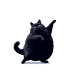 無言で伝える太っちょ黒猫（個別スタンプ：27）