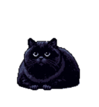 無言で伝える太っちょ黒猫（個別スタンプ：37）