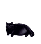 無言で伝える太っちょ黒猫（個別スタンプ：39）