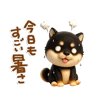 豆柴んず♡夏スタンプ（個別スタンプ：5）