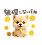 豆柴んず♡夏スタンプ（個別スタンプ：16）